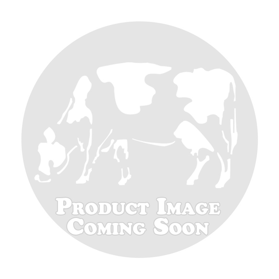 Beef Tenderloin
